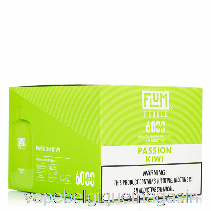Vape Belgique [10-pack] Flum Pebble 6000 Jetable